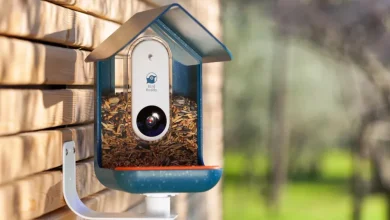 bird-feeder-camera:-a-game-changer-for-birdwatching-enthusiasts