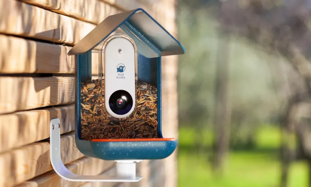 bird-feeder-camera:-a-game-changer-for-birdwatching-enthusiasts