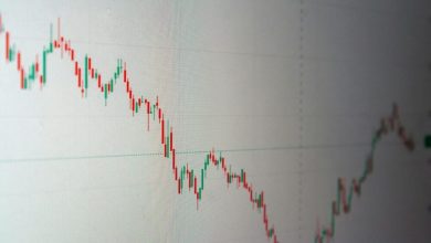 startup-survival-guide:-how-to-weather-2025's-cash-and-liquidity-storm