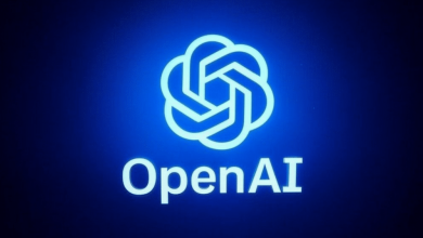 openai-legal-issues:-data-retention-after-chat-deletion