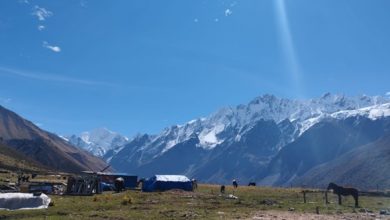 langtang-valley-trek:-quieter-trails,-short-itinerary-&-family-friendly-–-your-ultimate-guide